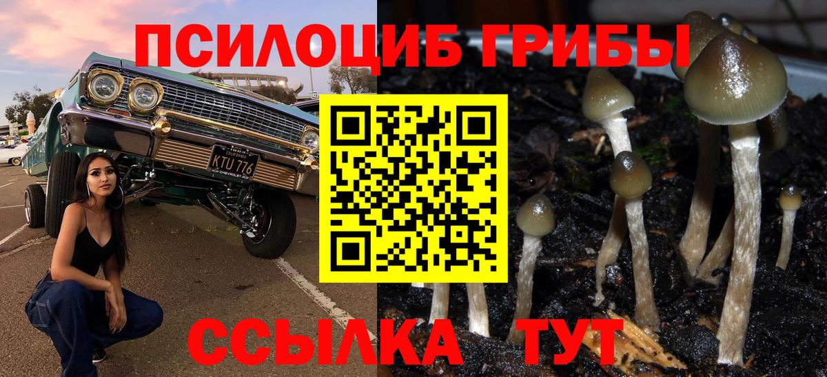 Галлюциногенные грибы мухоморы  Вход с VPN  Зеленокумск 